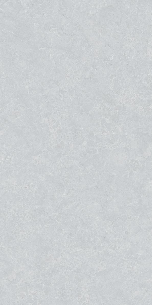 Ashes Gray Porcelain Slab