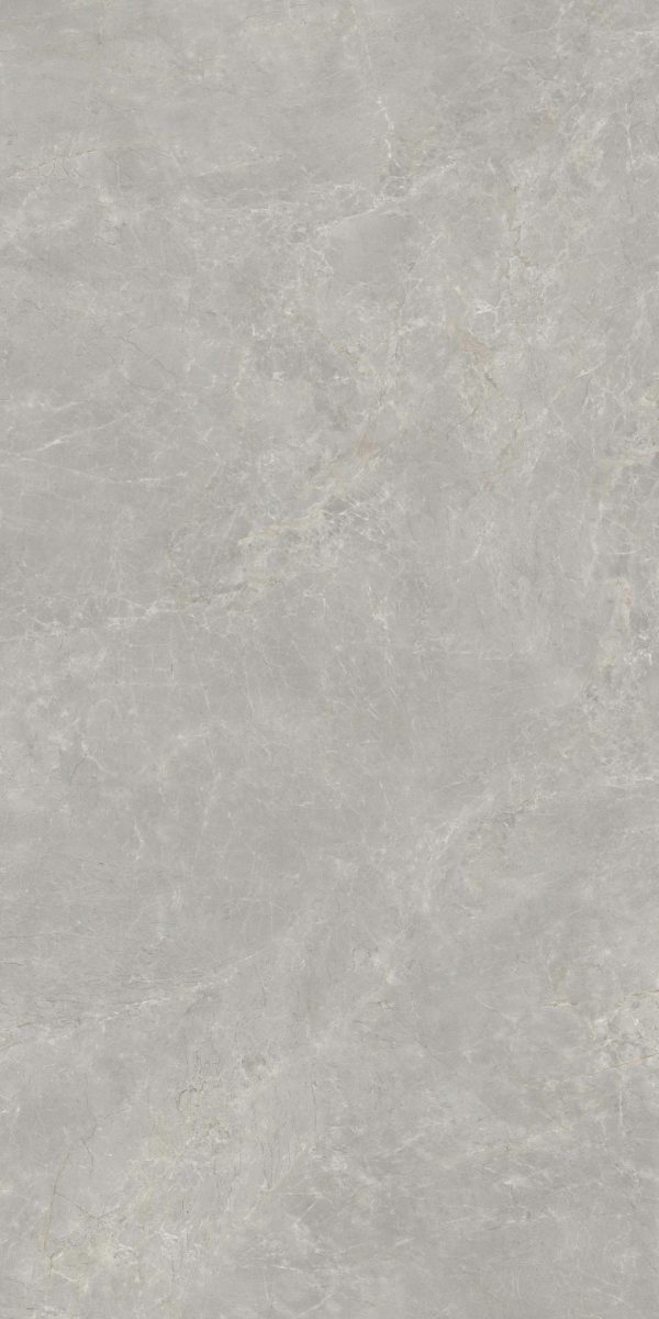 Latte Gray Sintered Stone